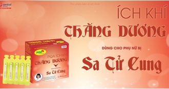 Hỗ trợ Sa tử cung